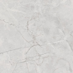 Connect Gris Керамогранит серый SG619922R 60х60 полированный