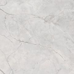 Connect Gris Керамогранит серый SG619922R 60х60 полированный