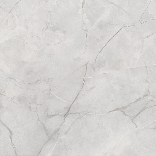 Connect Gris Керамогранит серый SG619922R 60х60 полированный