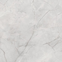 Connect Gris Керамогранит серый SG619922R 60х60 полированный