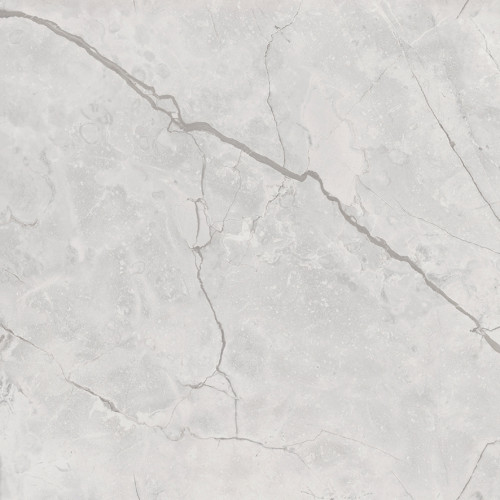 Connect Gris Керамогранит серый SG619922R 60х60 полированный