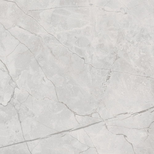 Connect Gris Керамогранит серый SG619922R 60х60 полированный