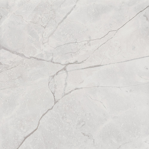 Connect Gris Керамогранит серый SG619922R 60х60 полированный