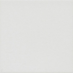 Агуста белый натуральный 1332S 9,8х9,8