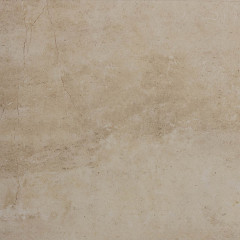 BL 03 60х60 неполир