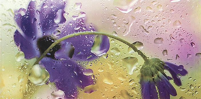 Reale Cvetok 1 Декор V 29,5х59,5