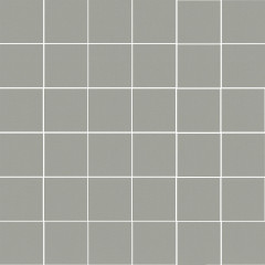 Агуста серый светлый натуральный из 36 21054 30,1х30,1