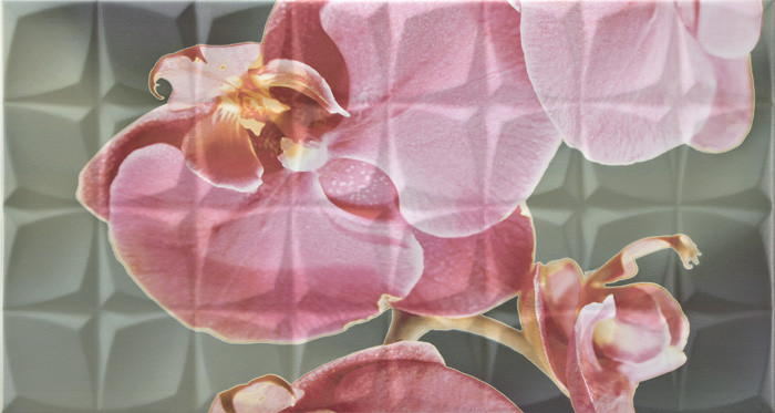 Dec. Orchid B Rosa RSA Декор 31,6x59,34