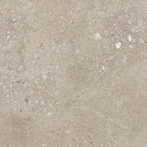 Harley Керамогранит бежевый 50х50 матовый