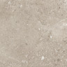 Harley Керамогранит бежевый 50х50 матовый
