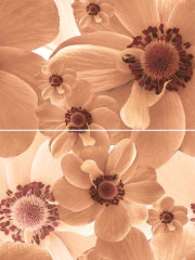 Pastel Панно P2-3D124 30х40 (из 2-х пл.)