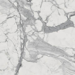 Шарм Эво Статуарио 60х60 неполированный