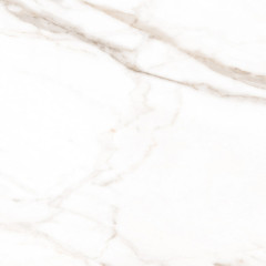 Calacatta Goddes Gold Керамогранит белый 60х60 Полированный