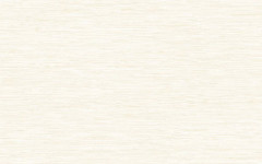 Piano светл./09-00-21-046/ /98-00-28-46/ Плитка настенная 40х25