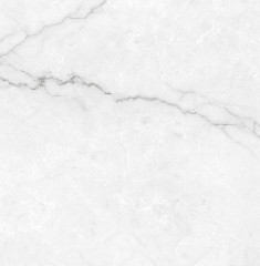 Torso Bianco Керамогранит 60х60 Полированный