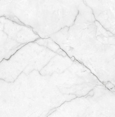 Torso Bianco Керамогранит 60х60 Полированный