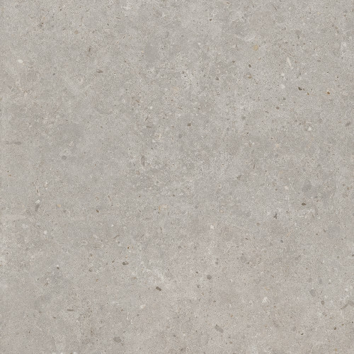 Риккарди Керамогранит серый светлый матовый обрезной SG653720R 60x60