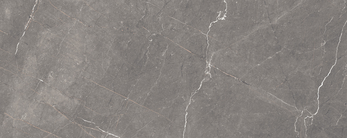 Fronda Плитка настенная серый 20х50