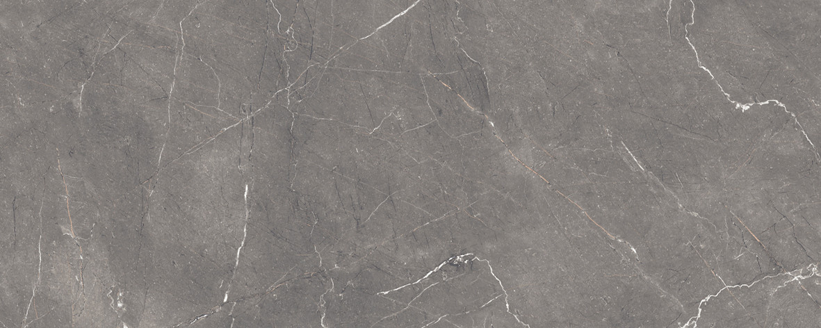 Fronda Плитка настенная серый 20х50