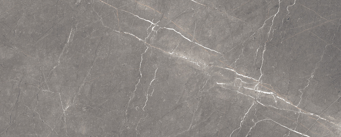 Fronda Плитка настенная серый 20х50