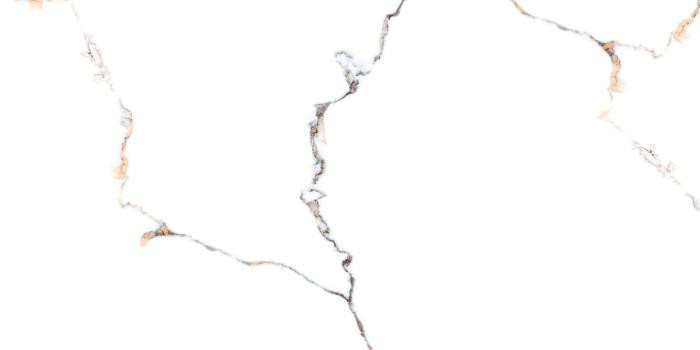 R_PR2002 Керамогранит Nil Blue 60*120см Polished 1,44м2