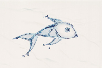 LVA Декор 1 20х30