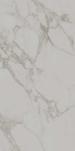 Монте Тиберио Керамогранит серый светлый лаппатированный обрезной SG540722R 60x119,5