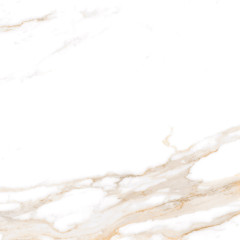 Calacatta Regal Gold Керамогранит белый 60х60 Полированный