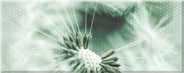 Концепт 7О Панно тип 3 `одуванчик` 20х50