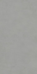 Про Чементо Керамогранит серый матовый обрезной DD504620R 60x119,5