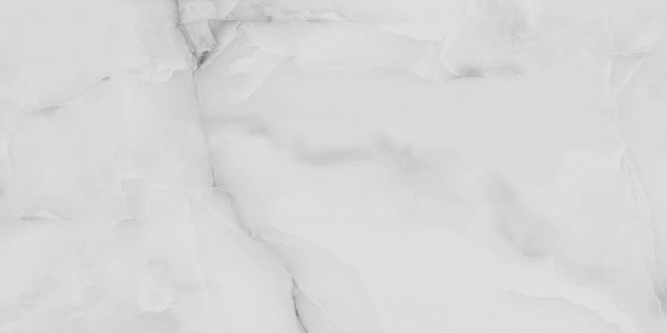 R_PR2008 Керамогранит Onyx Grey 60*120см Polished 1,44м2