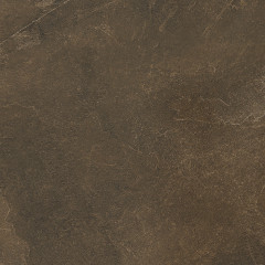 Про Стоун Керамогранит коричневый обрезной DD600220R 60x60