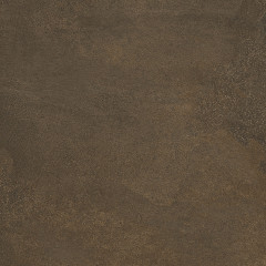 Про Стоун Керамогранит коричневый обрезной DD600220R 60x60