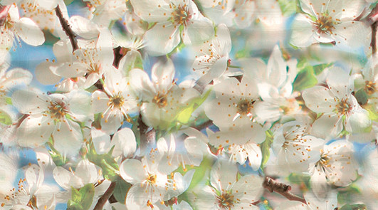 Dec Spring Panno B КПН16SpringB 25х45