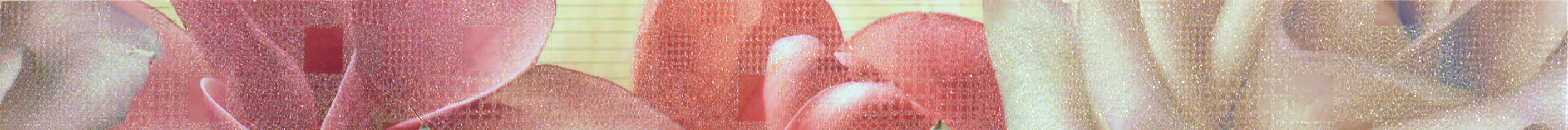 Sensations Crema Flor Liston Бордюр 50х600 мм