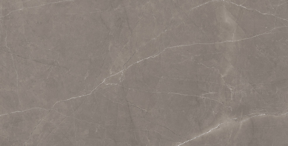 Splash Grey Керамогранит серый 60х120 Сатинированный Карвинг