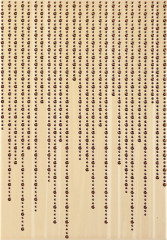 Cado 3B Декор 25x36