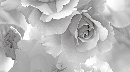 Dec Baccara Panno A КПН16BaccaraA 25х45