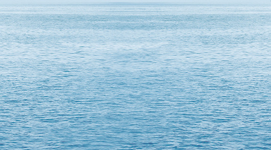 Dec Regata 5 Декор КВС16Regata5 25х45