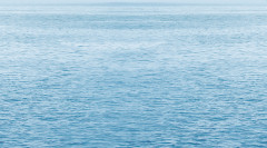 Dec Regata 5 Декор КВС16Regata5 25х45