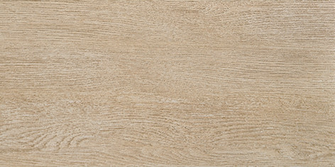 Alania light Керамогранит 01 20х40