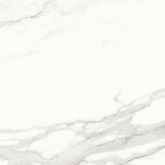 Calacatta Superb Керамогранит белый 60x60 полированный