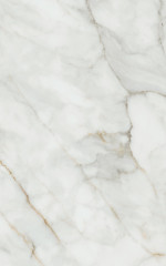 Кантата белый глянцевый 6429 25x40