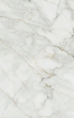 Кантата белый глянцевый 6429 25x40