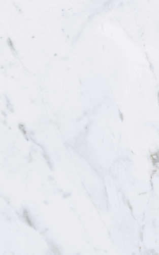 Argos bianco 09-00-20-392 Плитка настенная 25x40