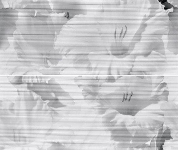 Celia white Панно 01 50х60