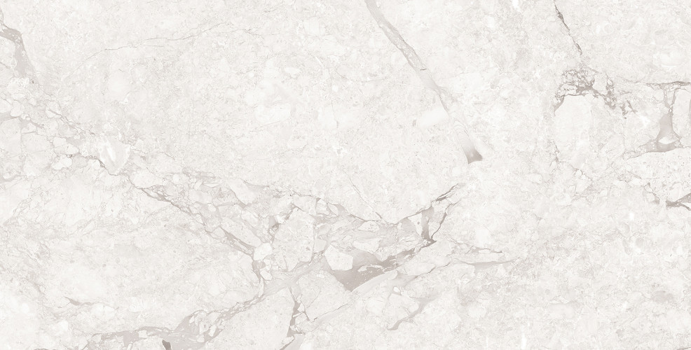 Emil White Керамогранит светло-серый 60x120 Полированный