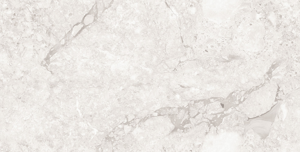 Emil White Керамогранит светло-серый 60x120 Полированный