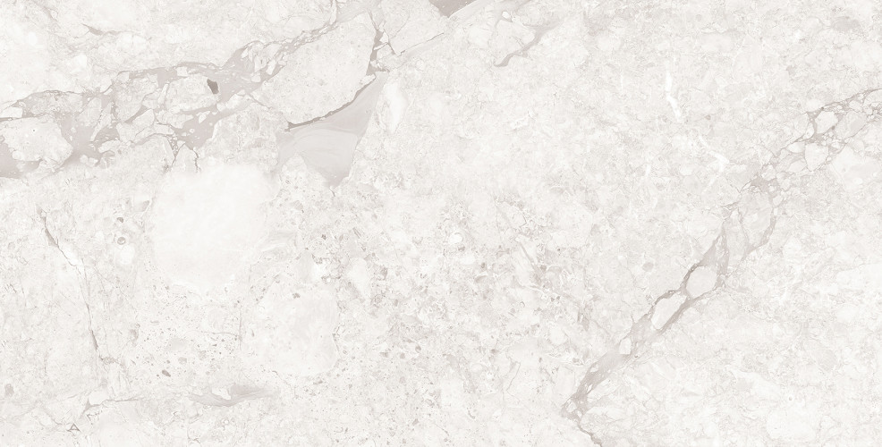 Emil White Керамогранит светло-серый 60x120 Полированный