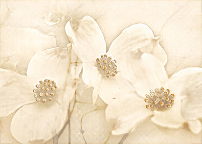 Tuti вставка бежевая (TG2M011DT) 25x35